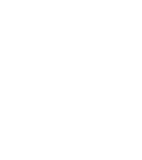 Amis
