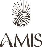 Amis